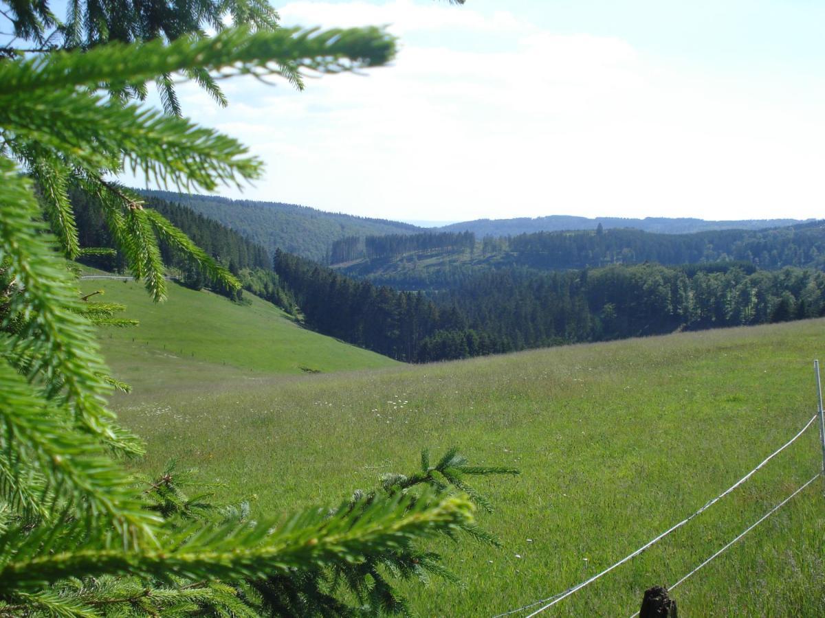 B&B All Seasons Winterberg Extérieur photo