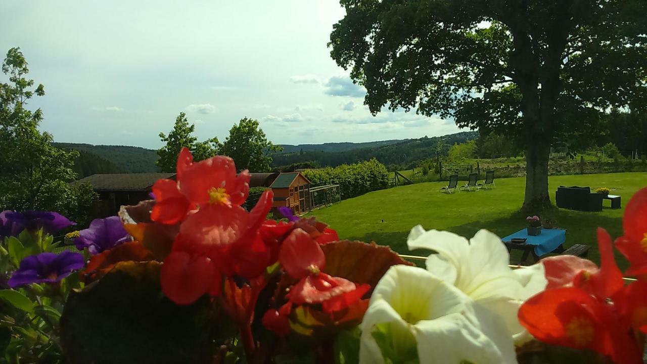 B&B All Seasons Winterberg Extérieur photo